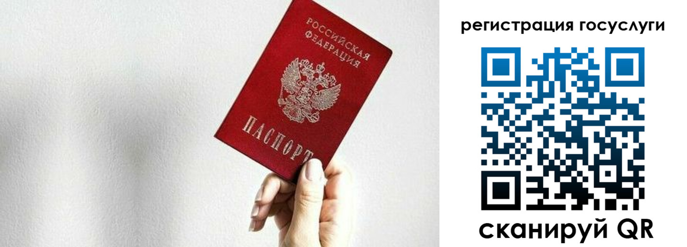 прописка гарантия в Черняховске